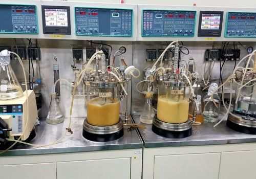 Bào chế các dạng mỹ phẩm đặc biệt có ứng dụng Probiotic