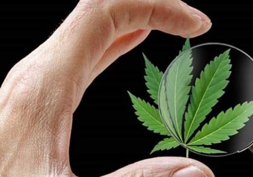 Tầm nhìn & sứ mệnh